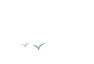 aef-birds-cloud