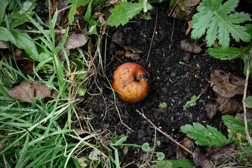 Composting